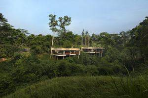 Terrace Tree Villa