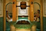 Wellness
