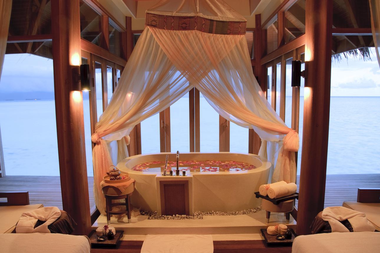 Wellness