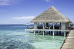 Restaurants/Cafes