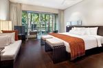 Deluxe Palm Kamer