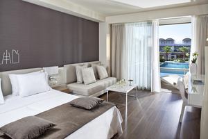 Deluxe Kamer met privézwembad