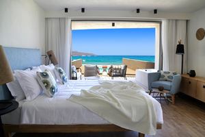 Pure Haven