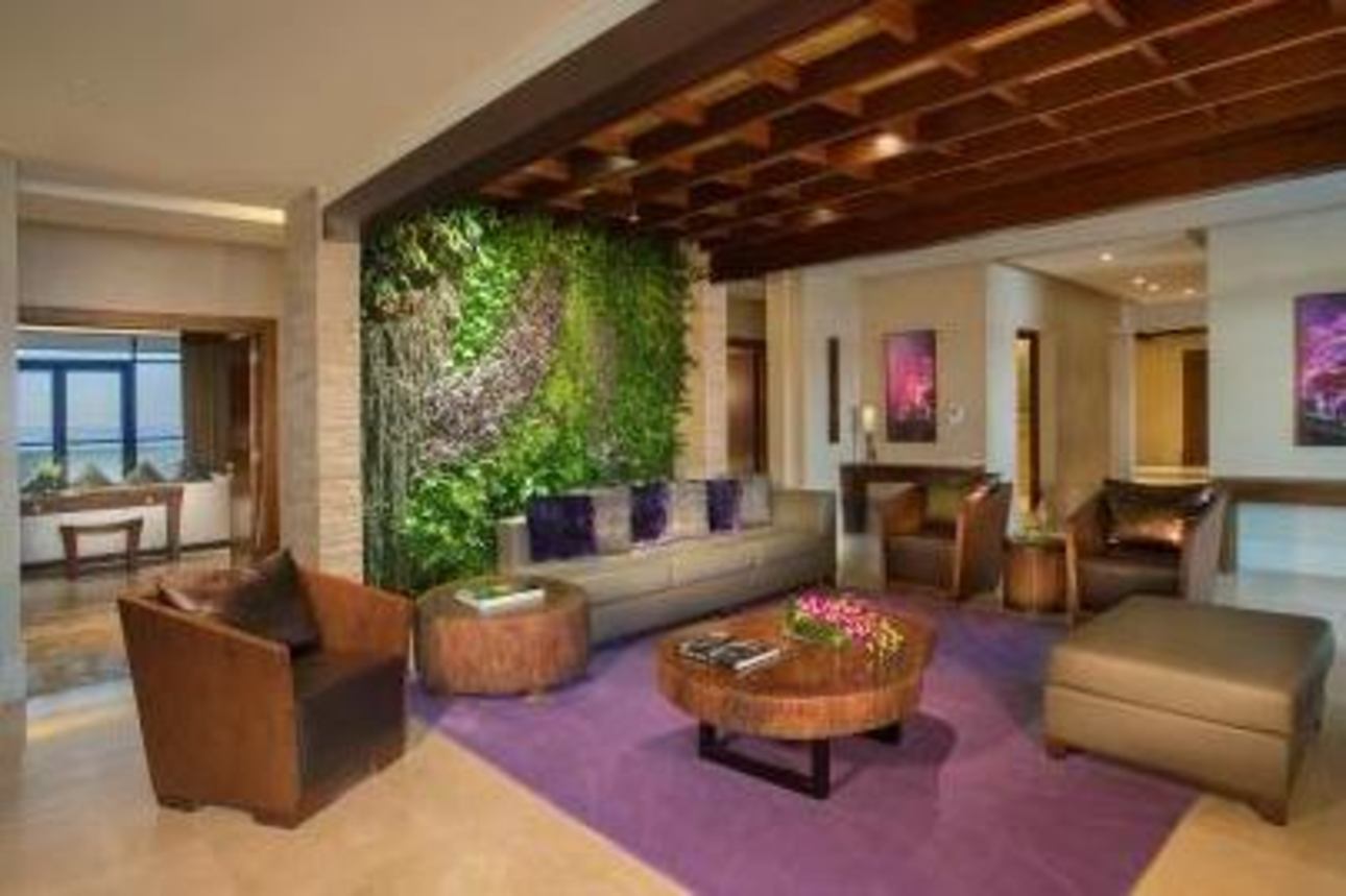Palm Suite
