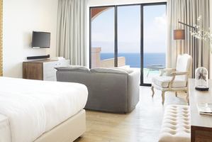 Deluxe Junior Pool Suite